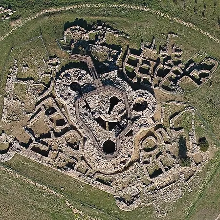 Grillo Assemini